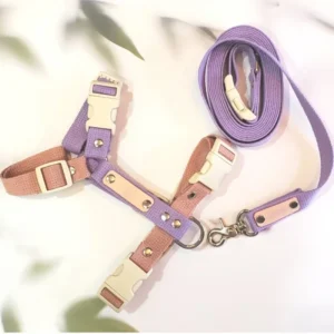 Luxury Designer Pet Harness Custom Logo New Dog Harness for Walking Manufacturers