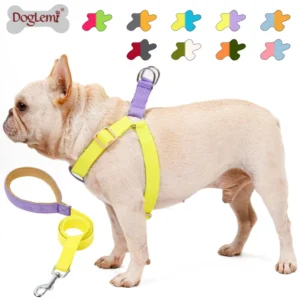 Luxury Dog Harness Leash Set Breathable Vest Reflective Button Dog Collar Leash Personalized Features No Pull Pet Accessories