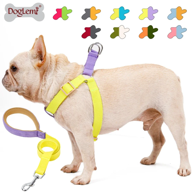 Luxury Dog Harness Leash Set Breathable Vest Reflective Button Dog Collar Leash Personalized Features No Pull Pet Accessories