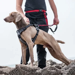 Luxury Dog Harness Vest Easy Control Handle and Front Clip for Training with Fur Decoration