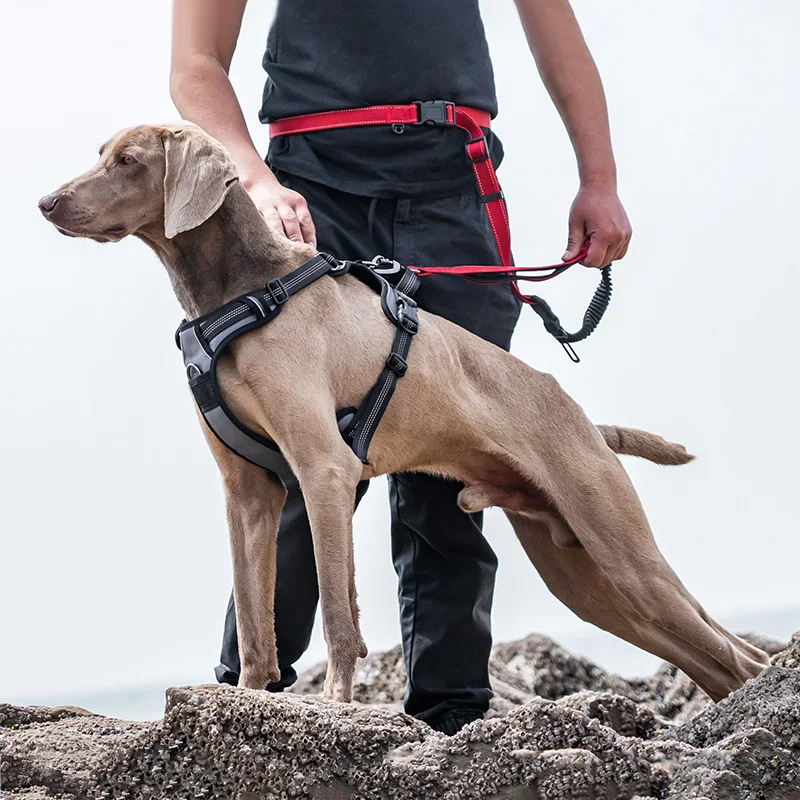Luxury Dog Harness Vest Easy Control Handle and Front Clip for Training with Fur Decoration