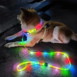 Luxury Dog Pet Collars Leashes USB Rechargeable Waterproof Nylon LED PVC Glow in the Dark Walk at Night Custom Style
