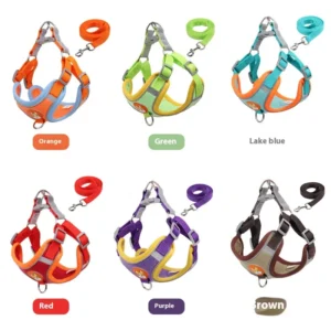 Luxury & Fashion Vest style Pet Carriers for Small and Large Dogs in Summer with Reflective Leashes and Collars