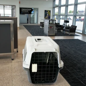Luxury Foldable Airline Approved Travel Products Pet air Cage Other Dog Cat Pet Carriers With Wheels Transport Box for Cat