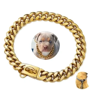Luxury Gold Collares De Perros Pet Big Hip Hop Leads Chains Kit Dog Collars Choke Necklace Collar Leash Xl Bully Cuban Dog Chai