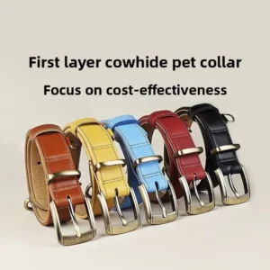 Luxury High Quality Breathable Soft Modern Cat and Dog Collar