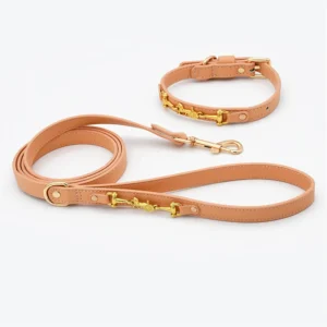 Luxury Leather Dog Collar and Leash Set Stocked Recycled Manufacture Personalized Small Large Pet Leads Walking