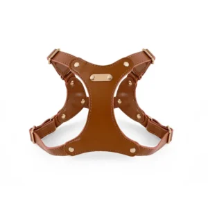 Luxury Leather Dog Harness Vest Set Training Walking Pet Collars Leashes For Pets Accessories