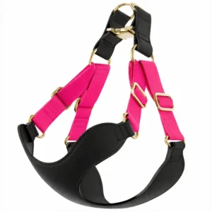 Luxury Leather Pet Harness Leash Vest Set No Pull Custom Dog Harness With Leash Set