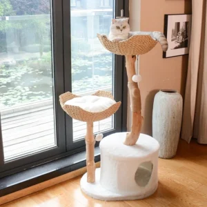 Luxury Modern Cat Tree House Scratcher Tower Natural Fruitwood Furniture for Big Cats Indoor Climbing Nature Inspiration Carton
