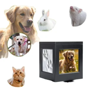 Luxury Modern Rectangle Bamboo Pet Caskets and Urns for Dog Funeral Supplies Memorial Occasions