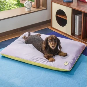 Luxury Modern Soft Pet Beds Waterproof Dog Cushion with Removable Washable Cover OEM Pet Accessories for Home