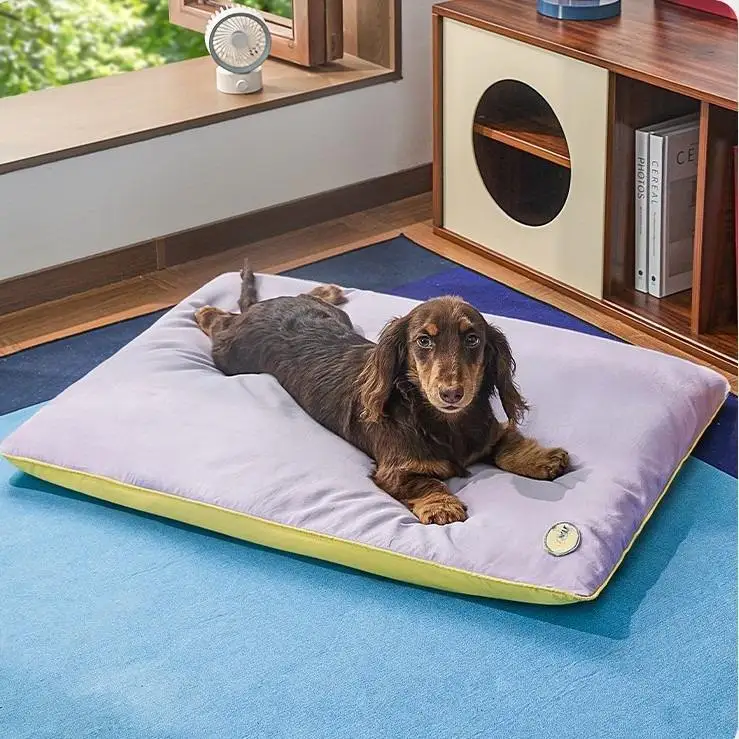 Luxury Modern Soft Pet Beds Waterproof Dog Cushion with Removable Washable Cover OEM Pet Accessories for Home