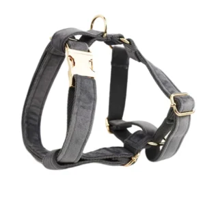 Luxury Pet Collars Leashes & Harnesses Solid Color Custom Dog Harness Set With Bow Tie Flowers