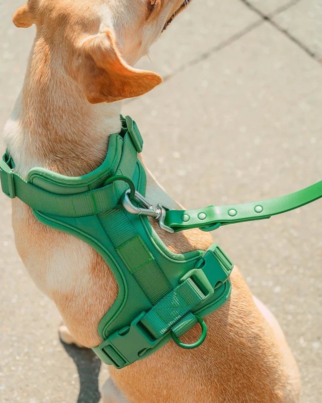 Luxury Pet Dog Harness with Custom Logo Waterproof Adjustable Durable No Pull Dog Harness Set Fashion Personalized Dog Gear