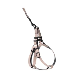 Luxury Pet Harnesses Available in Stock Elegant Pet Collars and Leashes