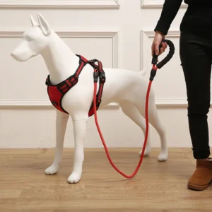 Luxury Popular Made in China High Quality Custom Five Color Fashion Pet Animal Dog Harness Sets