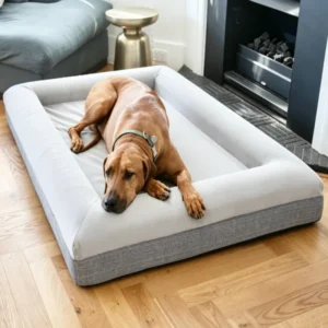 Luxury Rectangular Eco Friendly Orthopedic Washable Sleep Aid Soft Non Slip Household Cat Dog Pet Sofa Bed for Summer