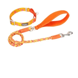 Luxury Simple Adjustable Nylon Pet Collar Leash Set Soft Paw Print Puppy Quick Release Buckle Cartoon Dog Collar