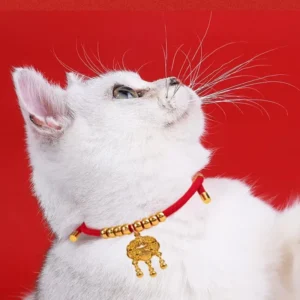 Luxury Simple Style Pet Dog Collar Lucky Cat Neck Rope Solid Pattern Kitten Puppy Necklace