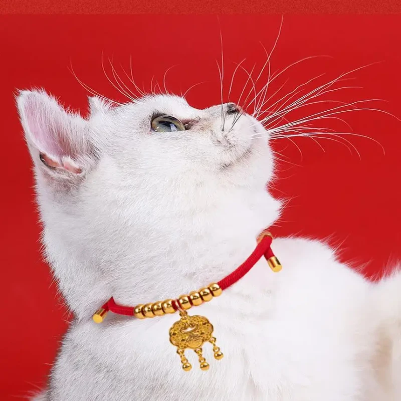 Luxury Simple Style Pet Dog Collar Lucky Cat Neck Rope Solid Pattern Kitten Puppy Necklace