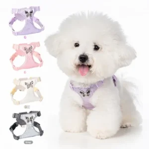 Luxury Sweet Pet Harness Set for Small Dogs Cats Outdoor Walking Dog Pet Accessories Adjustable Dog Harness with Leash