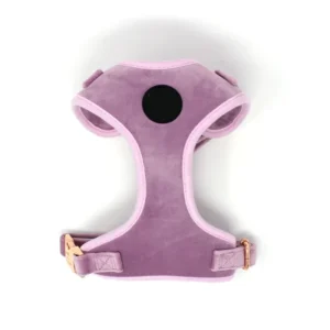 Luxury Velvet Dog Harness Dog Leash Dog Collar Terciopelo Arnes Perro Mascotas Accesorios OEM ODM Manufacture