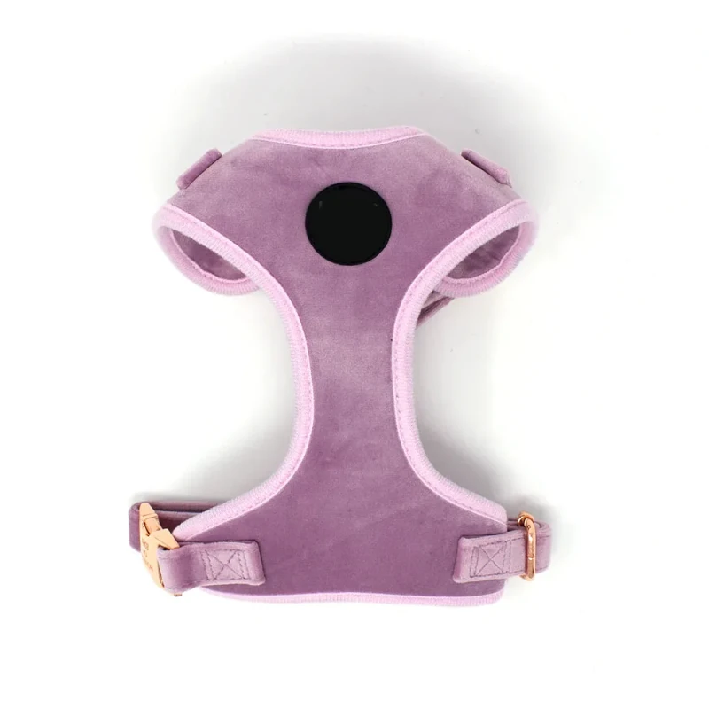 Luxury Velvet Dog Harness Dog Leash Dog Collar Terciopelo Arnes Perro Mascotas Accesorios OEM ODM Manufacture