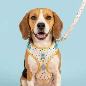 MIDEPET Valentine’s Day New Year Gift Drop Shipping Accept Fashion Cute Designer Polyester Alloy Pet Dog Harness Leash Set Small