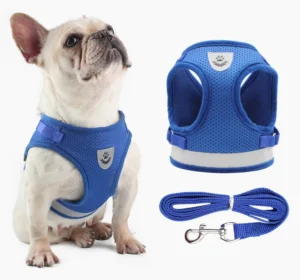 Manufacturer Custom Adjustable Pet Harness with Breathable Polyester Leash Reflective Walking Gear for Small Medium Dogs Night