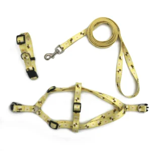 Manufacturer Dog Collar and Leash Set for Outdoor Walking
