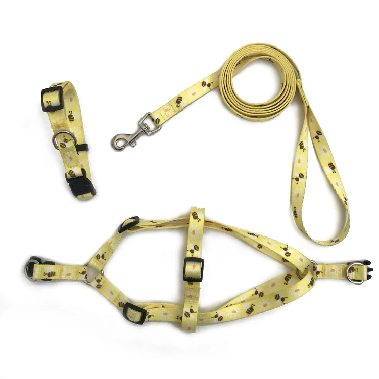 Manufacturer Dog Collar and Leash Set for Outdoor Walking