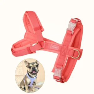 Manufacturer Multi colored Quick released Mesh Pad Adjustable Nylon Straps Y shaped Pet Dog Harness for Walking Cats and Dogs