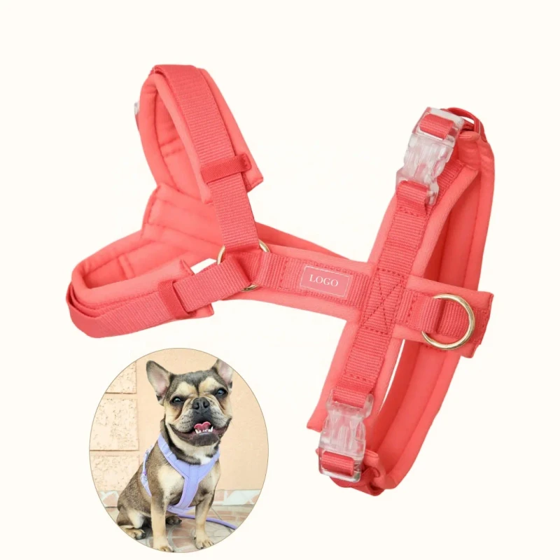 Manufacturer Multi colored Quick released Mesh Pad Adjustable Nylon Straps Y shaped Pet Dog Harness for Walking Cats and Dogs
