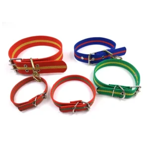 Manufacturer OEM S M L XL 4 Size Pet Training Durable PP Dog Collar Pet Collar