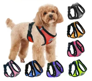 Manufacturer Pet Harness Leashes Breathable Small Service Dog Vest and Leash for Small Large Pet Outdoor Products