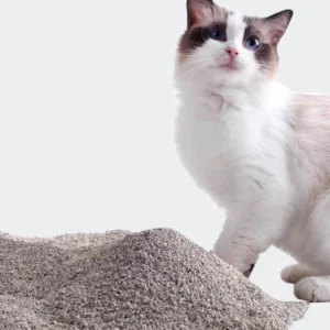 Manufacturer Premium Brand Cat Litter 100% Natural Sodium Bentonite Mineral Cat Litter Sand