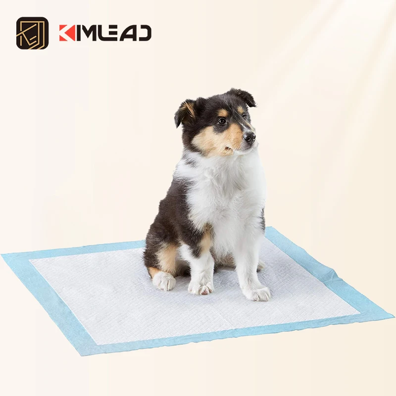 Manufacturer Sample Free Disposable Control Training Pads for Dogs Ppe Hygienic Thick Pee 30 X 28