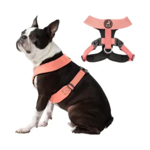 Manufacturer’s New Dog Harness with Control Handle in Waterproof Fabric Comfortable and Breathable with Soft Padding