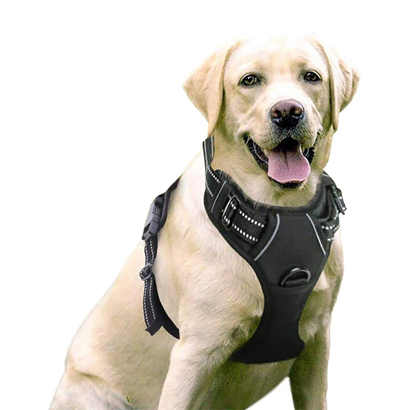 Manufacturers Oem Odm Custom Personalized High Quality Adjustable Designer Luxury No Pull Dog Harness Custom Dog Pet Harnesses