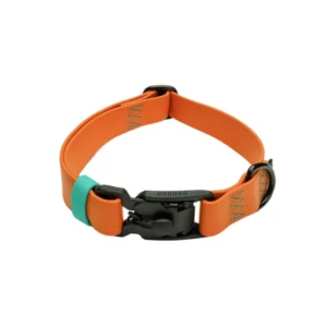 Matte Black Hardware Two Toned PVC Dog Collar Durable Easy Clean Length Adjustable Personalized Ribbons Simple Solid Pattern