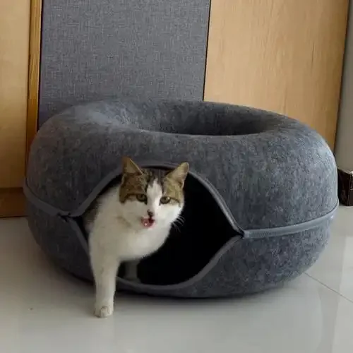 Medium Small Dog Bed Washable Pet Bed With Easy to Wash Side Comfortable Puppy Bed