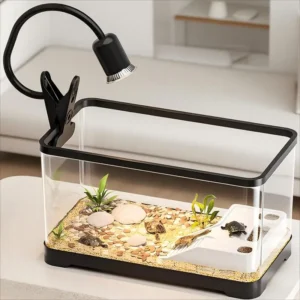 Mini Desktop Aquarium Tank Transparent Goldfish & Turtle Habitat with Snap On Lid for Balcony or Living Room