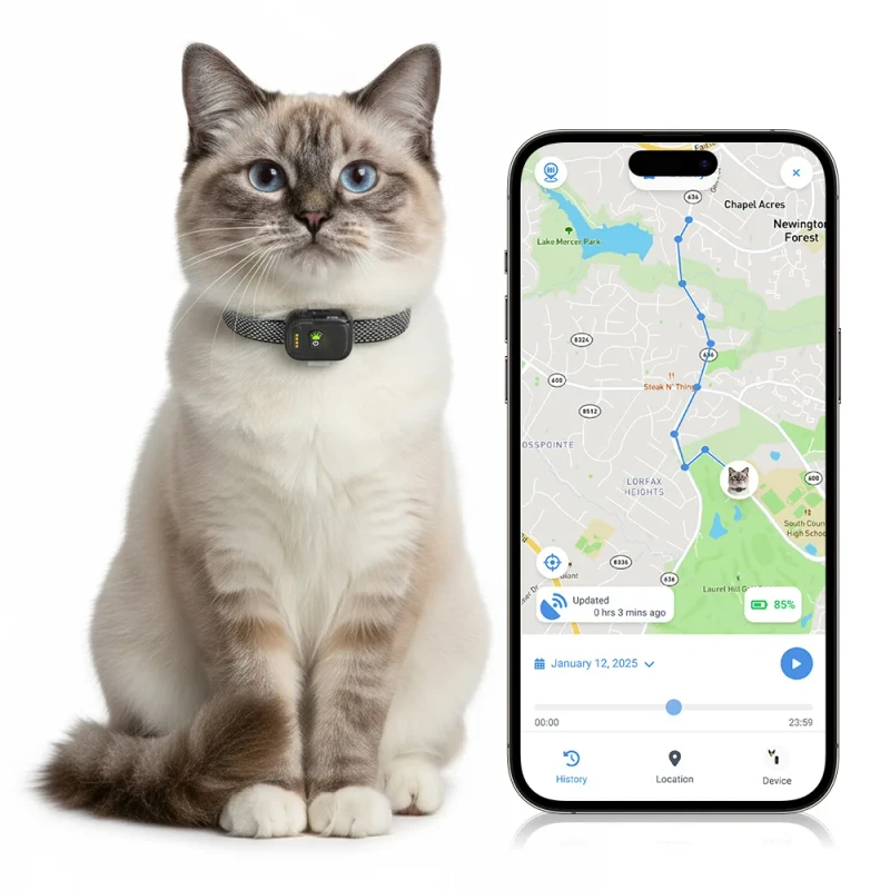Mini Dog 4G GPS Pet Tracker Camping Anti-lost Geo Fence Health Monitoring Tracking Device Collar Harness Plastic IPX7 Waterproof