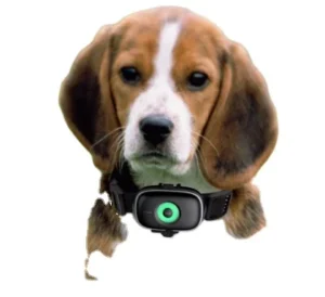 Mini Gps Tracking Pet Tracker Collar Gps Para Gatos Gps Collar for Hunting Dogs