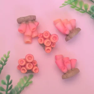 Mini Ocean Figurine Resin Ornaments Cute Marine Life Coral Tiny Statue Aquarium Home Desktop Micro Landscape Decor