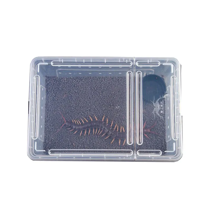 Miniature Breeding Box Turtle Scorpion Spider Cage Reptile Supplies Plastic Container