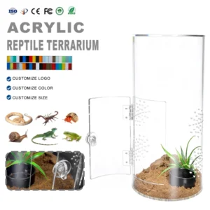 Modern Acrylic Micro Habitat Terrarium Enclosure for Small Reptiles Spiders Invertebrates Breeding Display Box Customizable Size