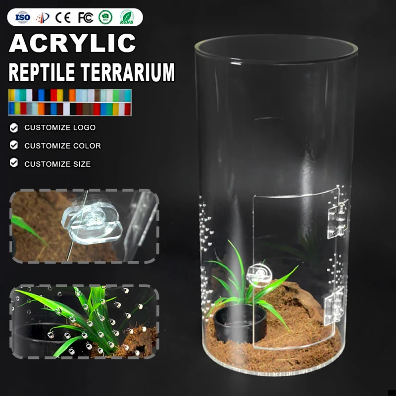 Modern Acrylic Reptile Feeding Box & Insect Breeding Case Habitat Terrarium for Mantis Spider Cricket Customizable Size Color
