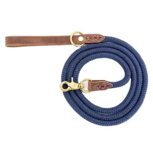 Modern Classics Dog Leash with Leather Handle Eco friendly Nylon Rope Lead Solid Pattern All Seasons Pet Supplies
